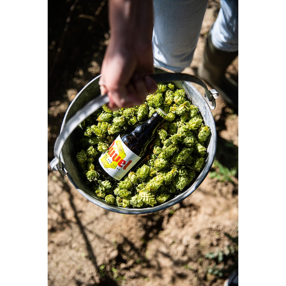 image 1 of Duvel Triple Hop Belgian Golden Ale 330Ml