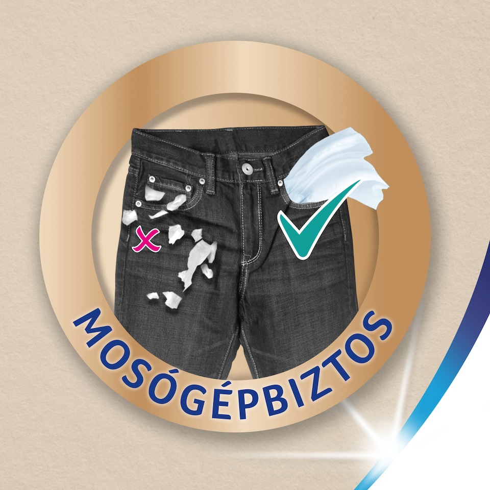 Zewa Softis Natural Soft illatmentes papír zsebkendő 4 rétegű 10 x 9 db  1. kép