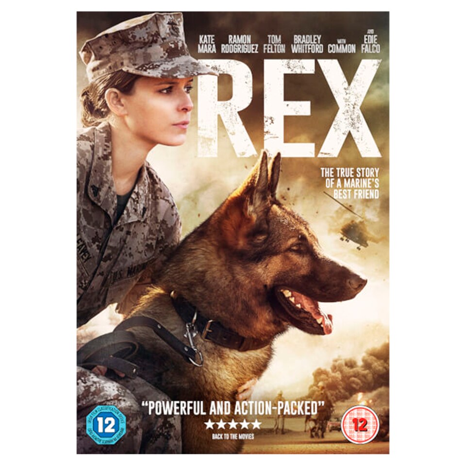 Rex Dvd