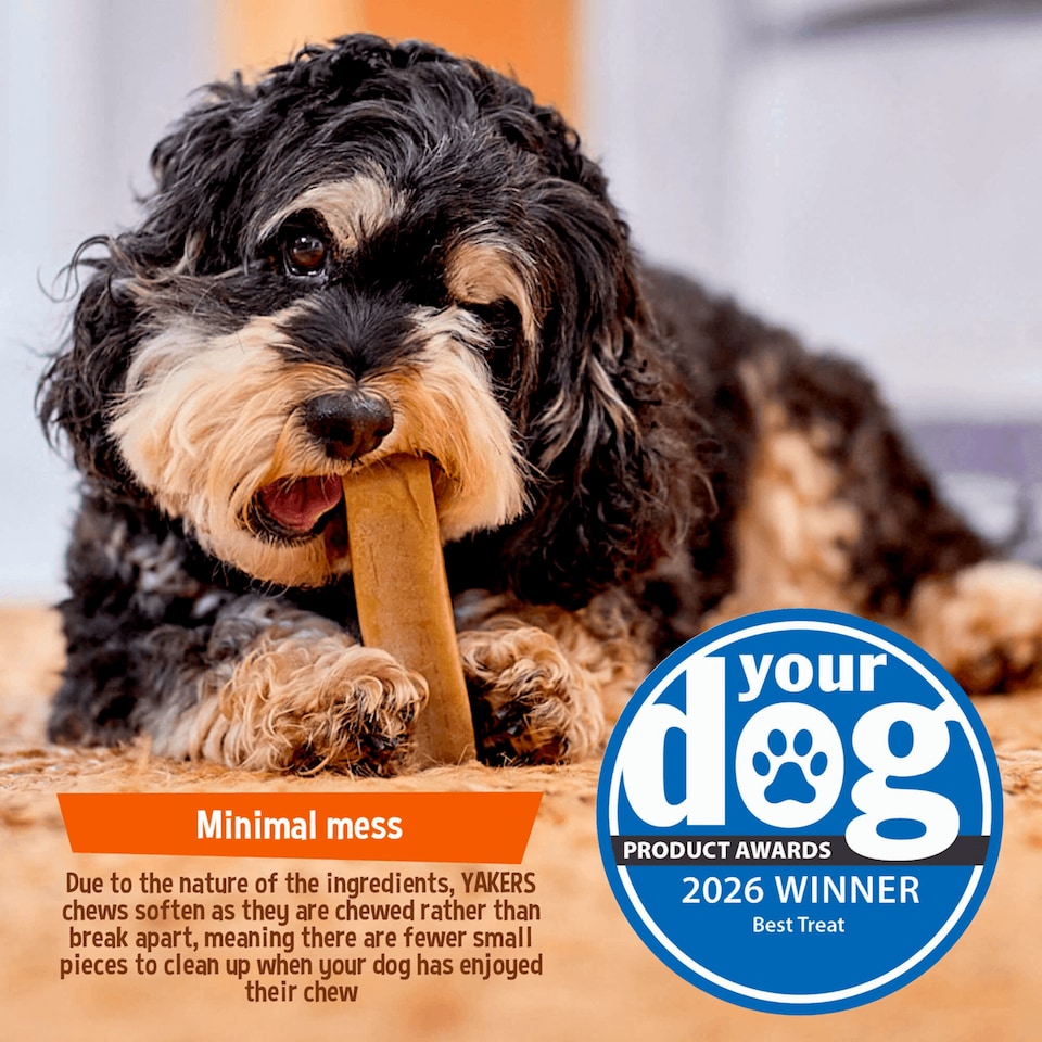image 1 of Yakers The Original 100% Natural Dog Chew & Occupier Medium