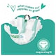 image 2 of Fred & Flo 48 Ultra Dry Nappies Size 4