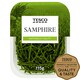 image 1 of Tesco Samphire 115G