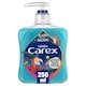 image 1 of CAREX LIQUID HANDWASH JULIA DONALDSON'S 'ROOM ON THE BROOM' 250ML