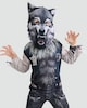 image 1 of F&F Boys 2-Piece Werewolf Fancy Dress Costume in Multi Grey