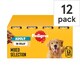 image 1 of Pedigree Adult Wet Dog Food Tins Mixed in Jelly 12 x 385g