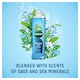 image 2 of Radox Muscle Soak Bath Soak Bubble Bath 500ml