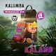 Kalumba Madagascar White Dry gin 37,5% 0,7 l  2. kép