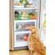 image 4 of Freshpet Small Dog Chicken & Turkey with Pumpkin & Peas Fresh Dog Food Roll 400g