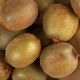 image 2 of Tesco Large Kiwi Fruit Each