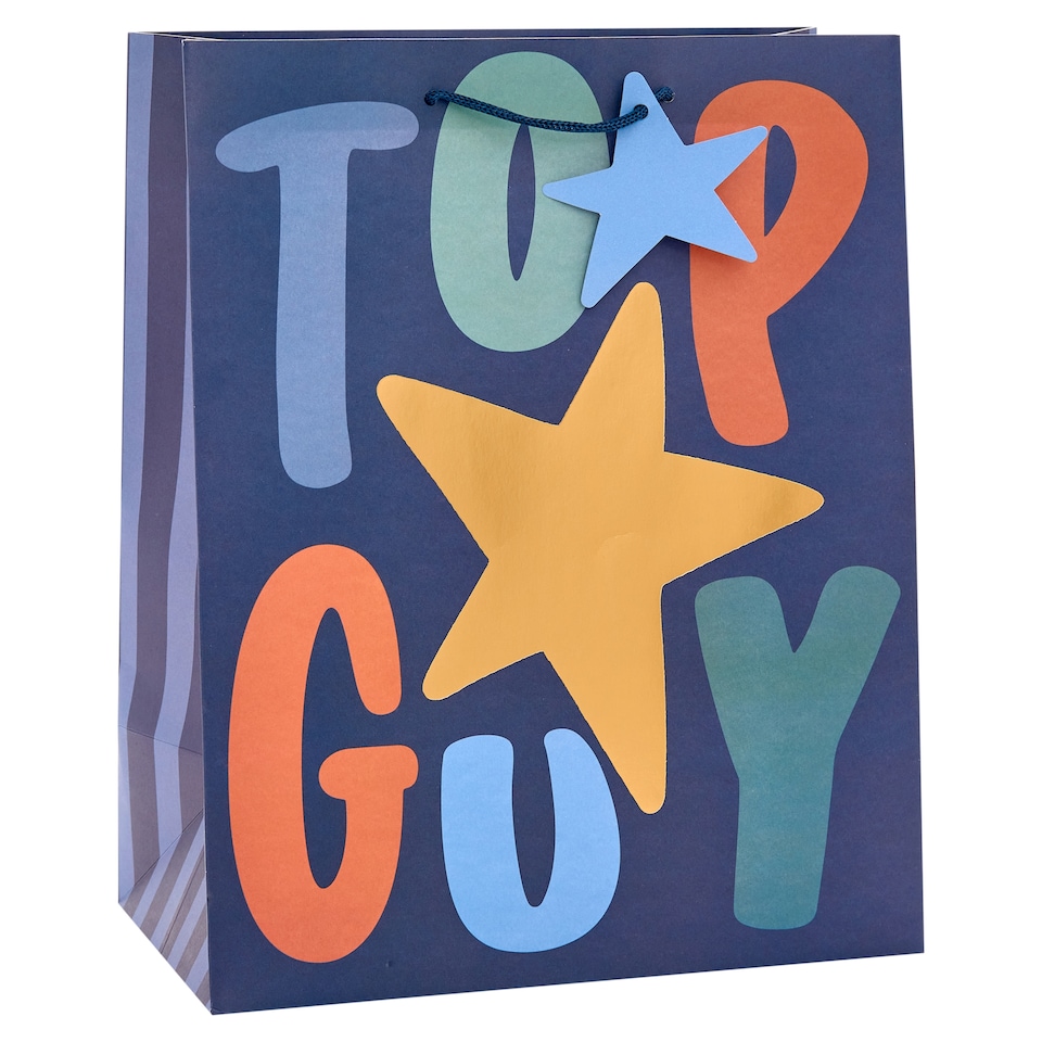 Tesco Top Guy Large Gift Bag