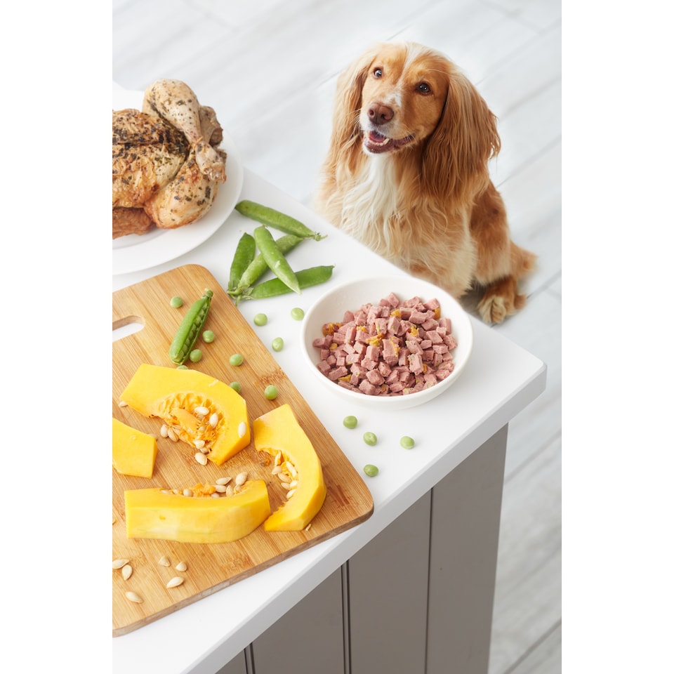 image 1 of Freshpet Small Dog Grilled Chicken & Turkey Recipe with Pumpkin & Peas 400g