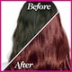 image 2 of L'Oreal Paris Casting Creme Gloss 550 Mahogany Semi-Permanent Hair Dye