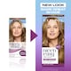 image 5 of CLAIROL NICE'N EASY TONE+GLOSS SEMI PERMANENT HAIR DYE - 811/73 MEDIUM ASH BLONDE