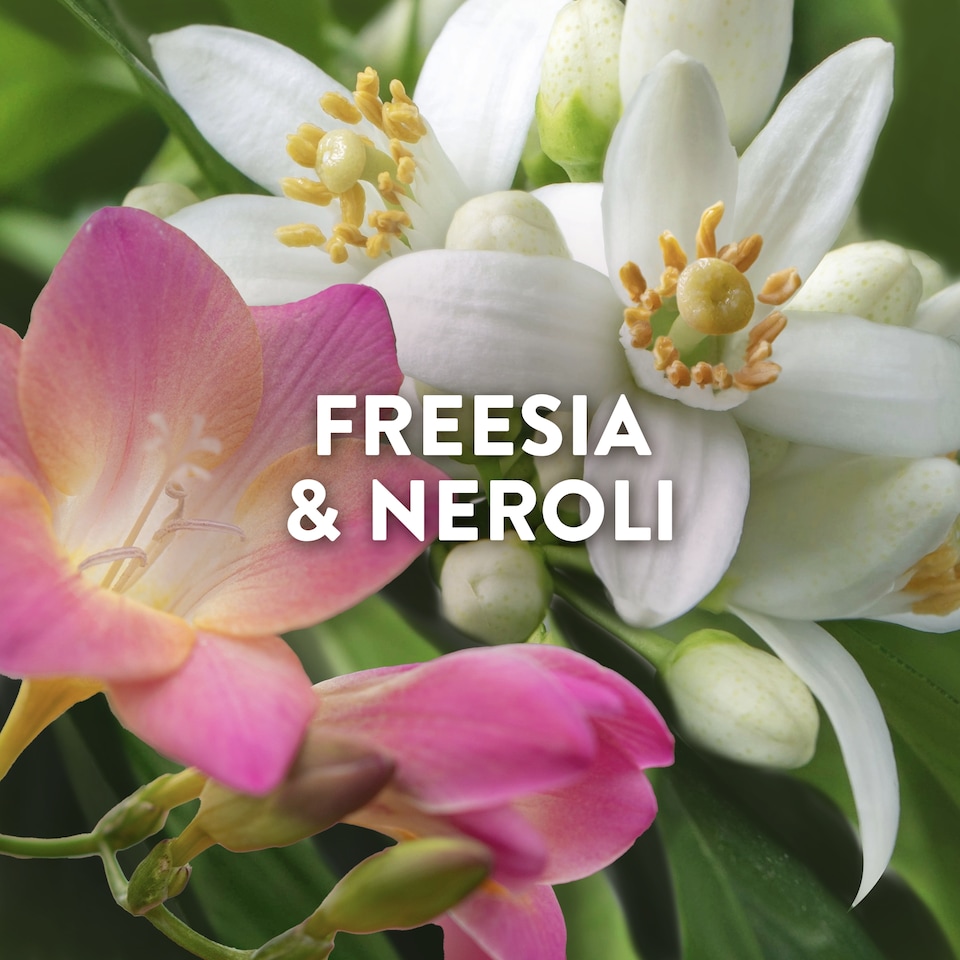 image 1 of Lenor Outdoorable Fabric Conditioner Portofino Freesia & Neroli 53w 742ml