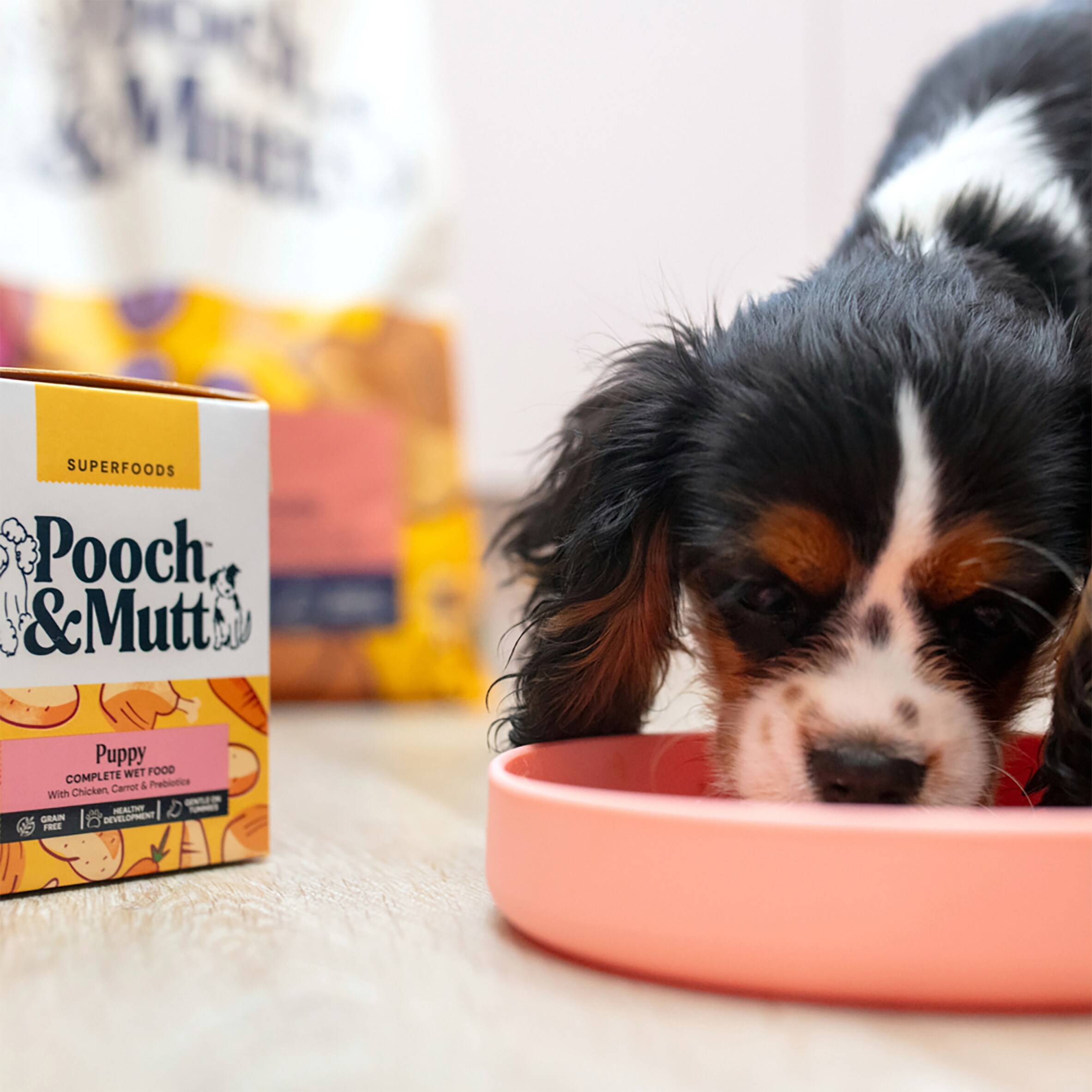 ドッグフード puppy Pooch and Mutt Wet Food, Puppy, 375g - Tesco Groceries