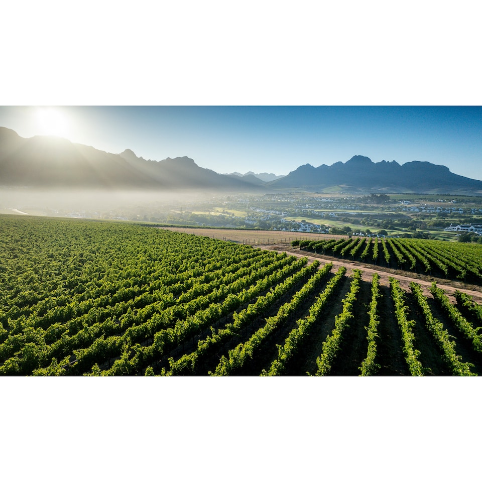 image 1 of Kleine Zalze Chenin Sauvignon 750Ml