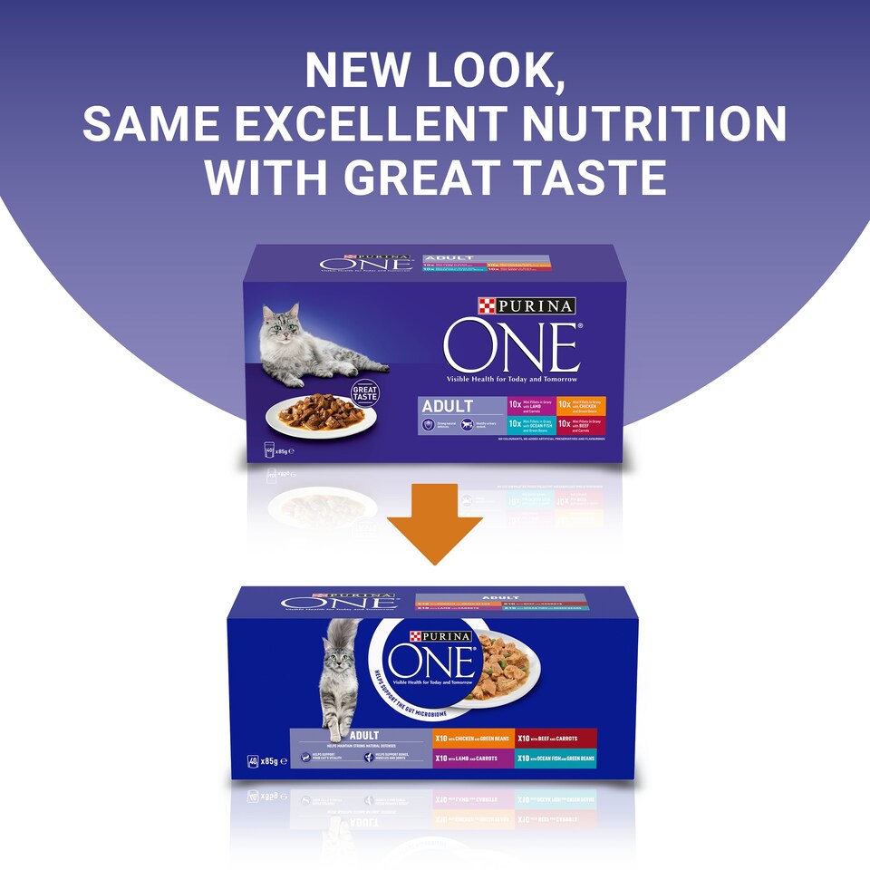 image 1 of PURINA ONE Mini Fillets Mixed Selection in Gravy Wet Cat Food 40x85g