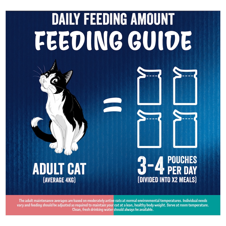 image 1 of FELIX Doubly Delicious Ocean Recipes in Jelly Wet Cat Food 12x85g