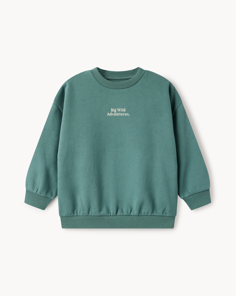 image 1 of F&F Boys 2-Pack Cotton Rich Fox Sweatshirts in Cream