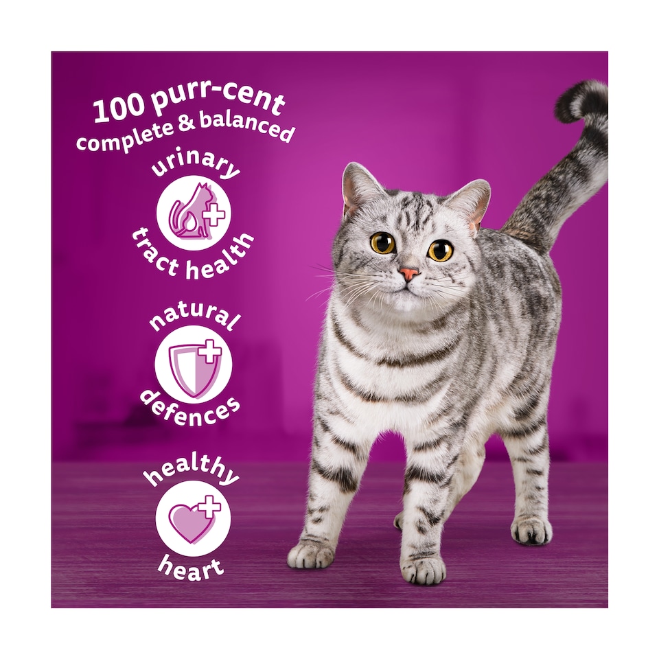 image 1 of Whiskas 1+ Adult Dry Cat Food Biscuits Lamb 1.9kg