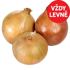 Česnek a cibule