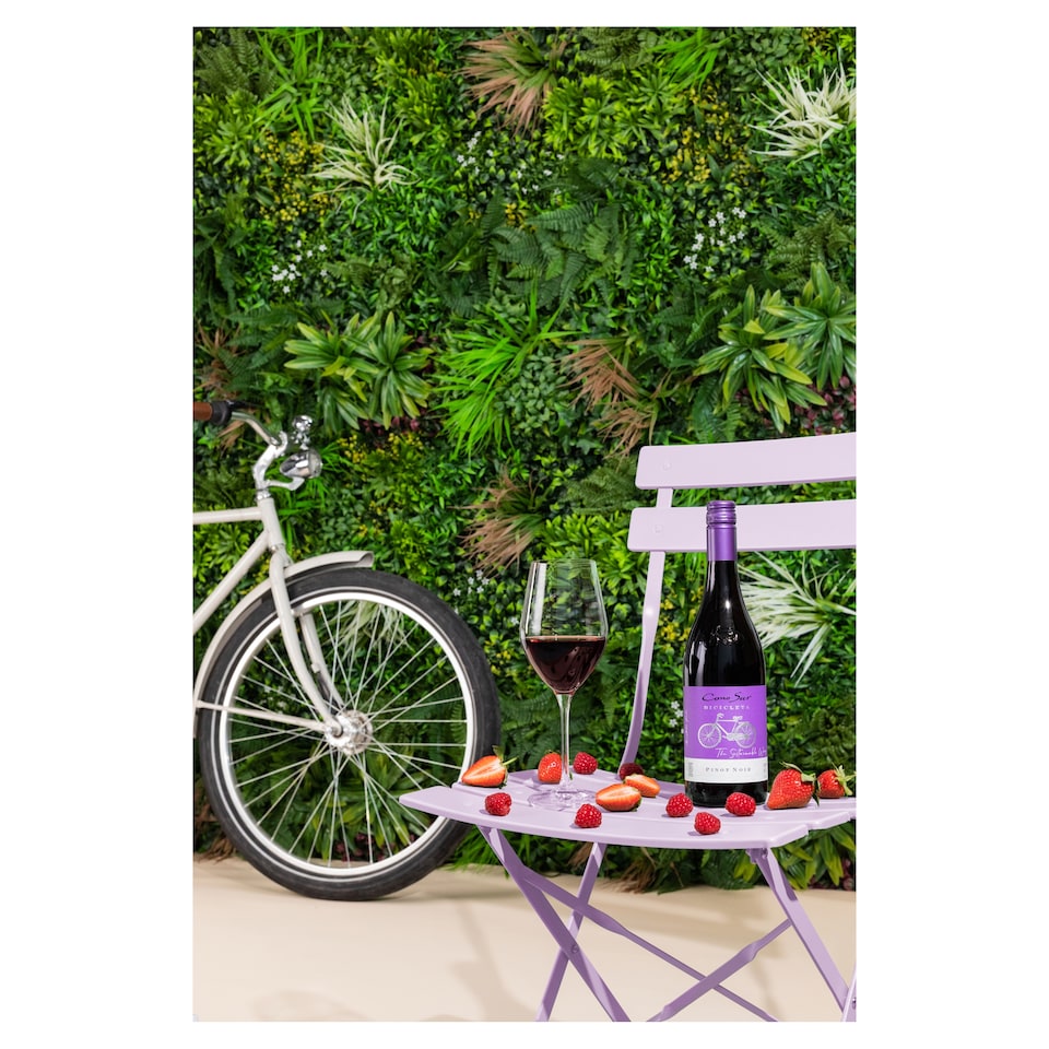 image 1 of Cono Sur Bicicleta Pinot Noir 75Cl