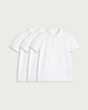 image 4 of F&F School Unisex 3-Pack Pure Cotton Slim Fit Polo Shirts in White