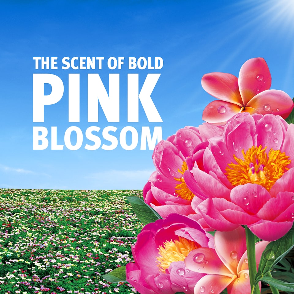 image 1 of Bold Pink Blossom Gel Laundry Detergent 40 Washes 1.32L