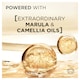 image 3 of L'Oreal Elvive Extraordinary Oil Shampoo 400Ml