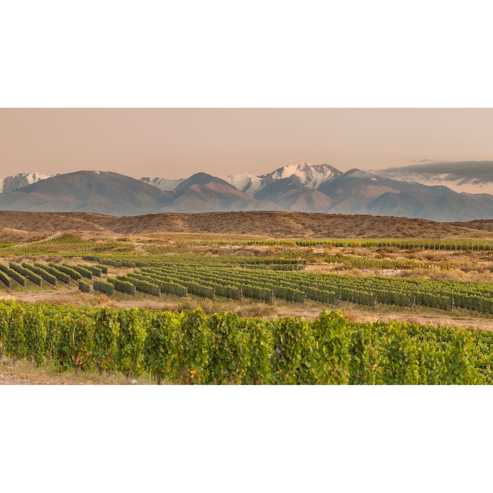 image 1 of Zuccardi Q Cabernet Sauvignon 75cl