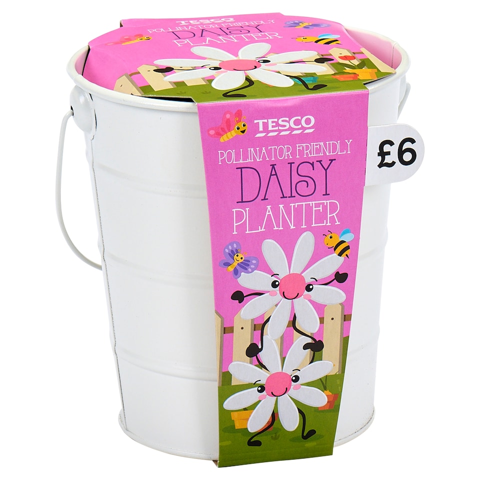 Tesco Pollinator Friendly Daisy Planter