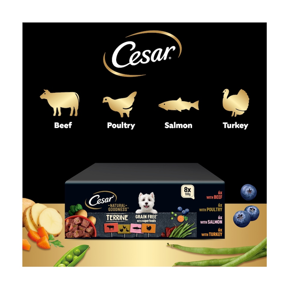image 1 of Cesar Natural Goodness Grain Free Adult Wet Dog Food Mix Terrine 8x100g Tray