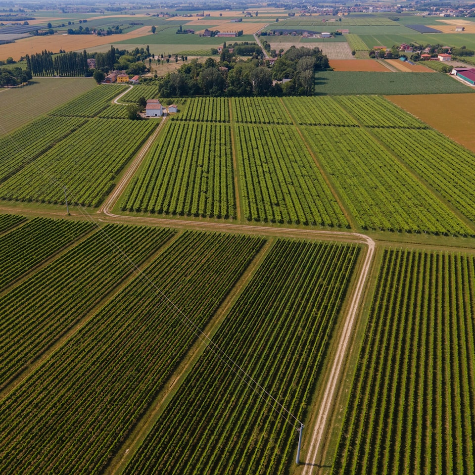 image 1 of Mazzetti Chef's Reduction Classic Balsamic Glaze 215Ml