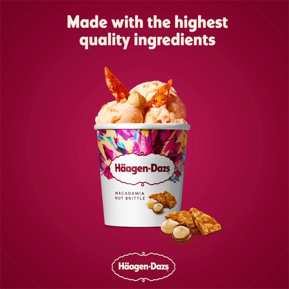 image 1 of Haagen-Dazs Macadamia Nut Brittle Ice Cream 460ml