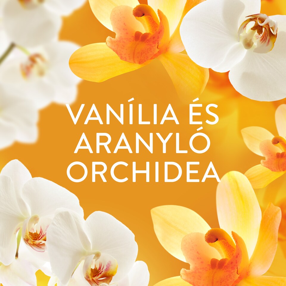 Lenor Parfümgyöngyök 195gGold Orchid & Vanilla 1. kép