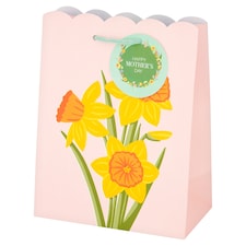 Tesco Mother's Day Medium Gift Bag 
