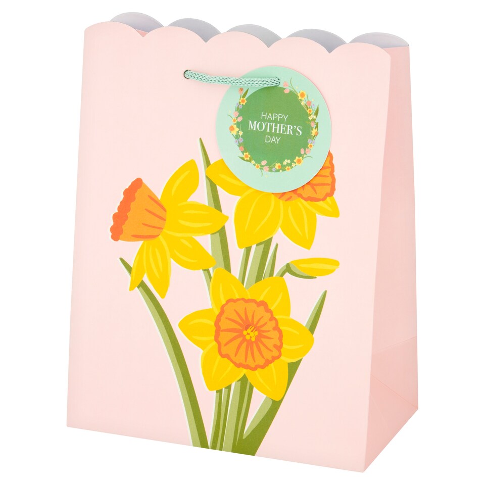 Tesco Mother's Day Medium Gift Bag 