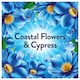 image 4 of Lenor Fabric Conditioner Coastal Flowers and Cypress 59 Washes 1829ml