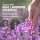 image 2 of Herbal Essences Calm Frizz Shampoo - Lavender Scent 350ml
