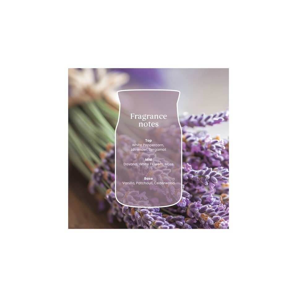 image 1 of Yankee Candle Signature Large Jar Dried Lavender & Oak 567g