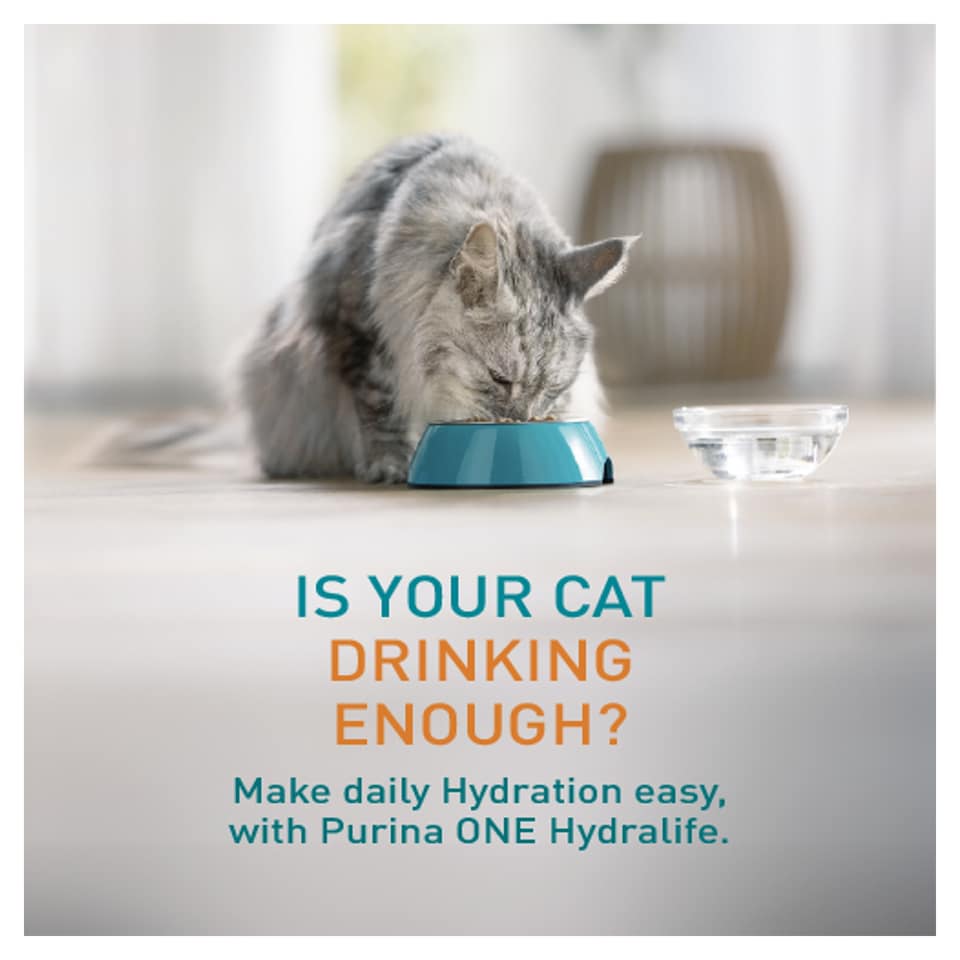 image 1 of Purina ONE HYDRALIFE with Chicken Cat Compliment 6x50g