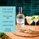 image 6 of Edinburgh Gin Distillery The Classic Edinburgh Dry Gin 70cl