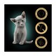 image 2 of SHEBA Kitten Wet Cat Food Pouches Mixed Selection in Gravy 40x85g
