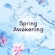 image 3 of Lenor Fabric Conditioner Spring Awakening 80 Washes 2.64L