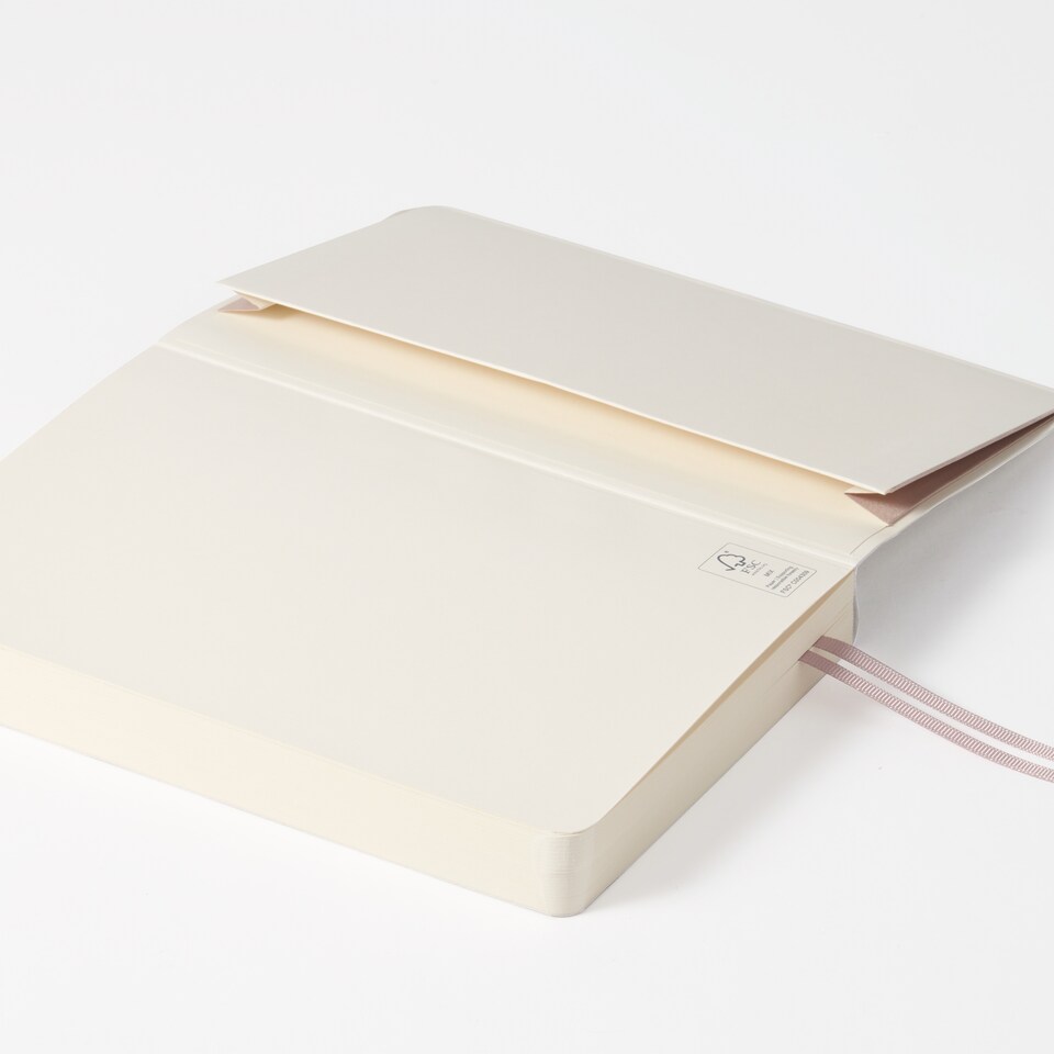 image 1 of Agenzio Soft Touch Medium 2025 Diary Champagne Gold