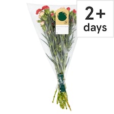 Large Spray Carnation (Metro)