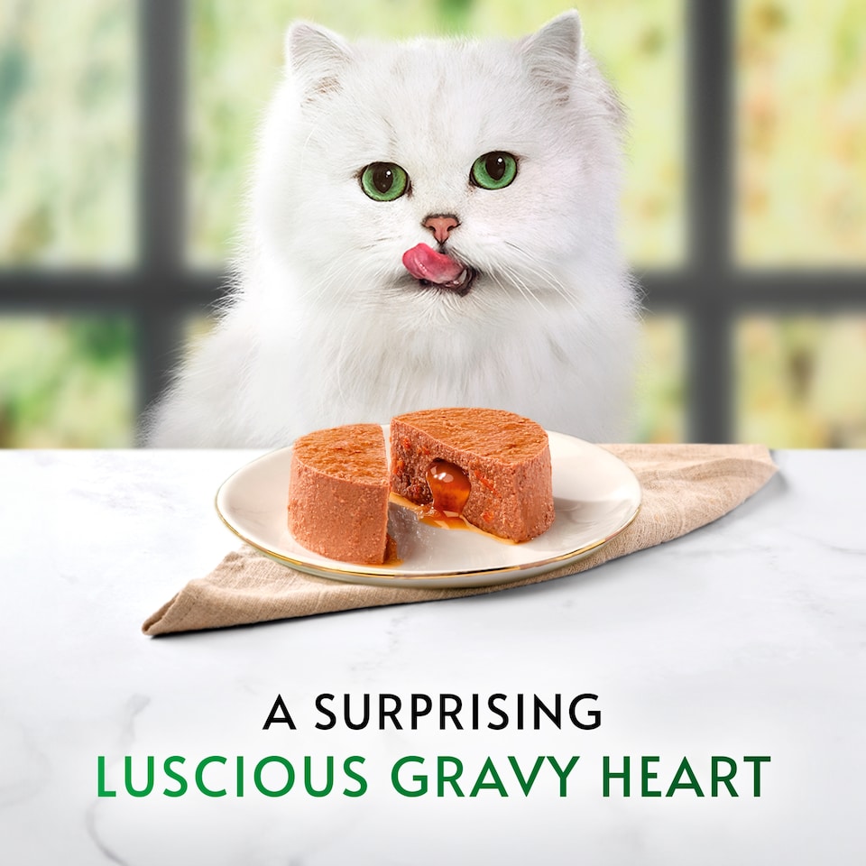 image 1 of Gourmet Natures Creations Cat Food Chicken Mousse 85g