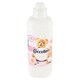 obrázok 2 z Coccolino Fresh & Soft Romantic Rose 966 ml