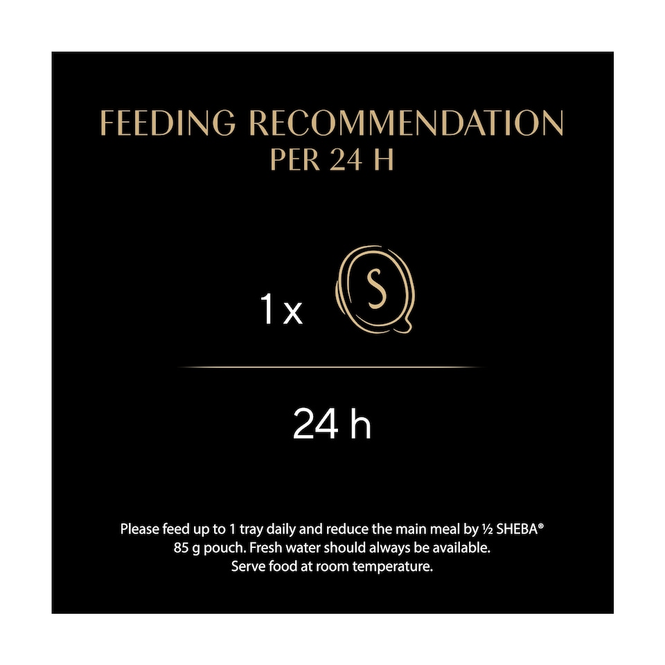 image 1 of SHEBA Filets Adult Cat Food Tray with Chicken, Fish & Shrimp in Gravy 60g