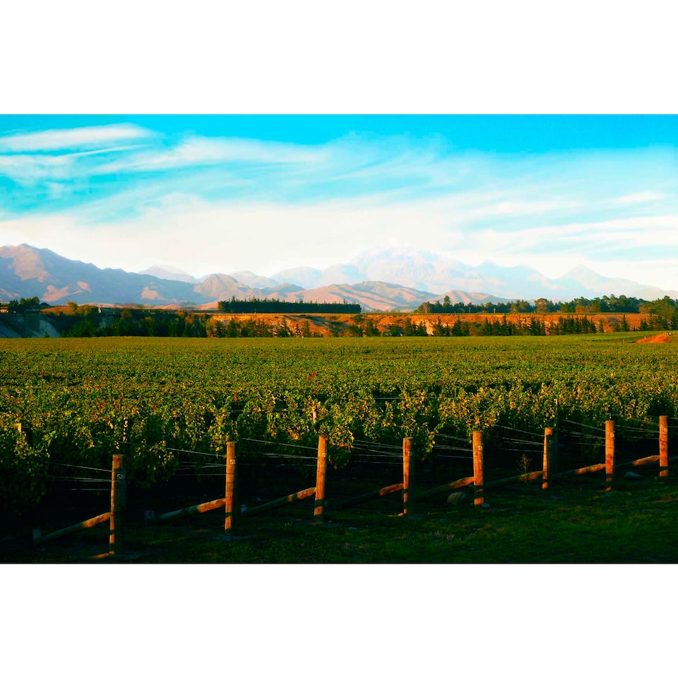 image 1 of Villa Maria Private Bin Sauvignon Blanc 75Cl